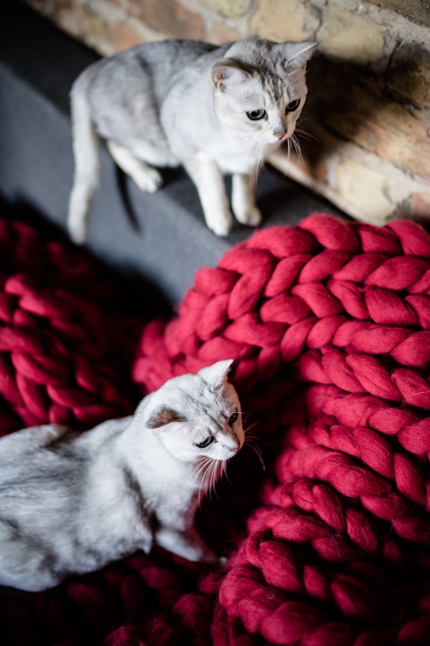Chunky Merino Wool Blanket